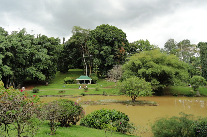 Sri Lanka, Kandy, Royal Botanical Garden